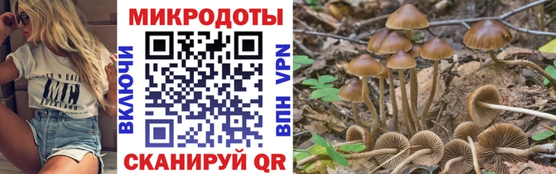 Галлюциногенные грибы мухоморы  MEGA зеркало  Тавда 