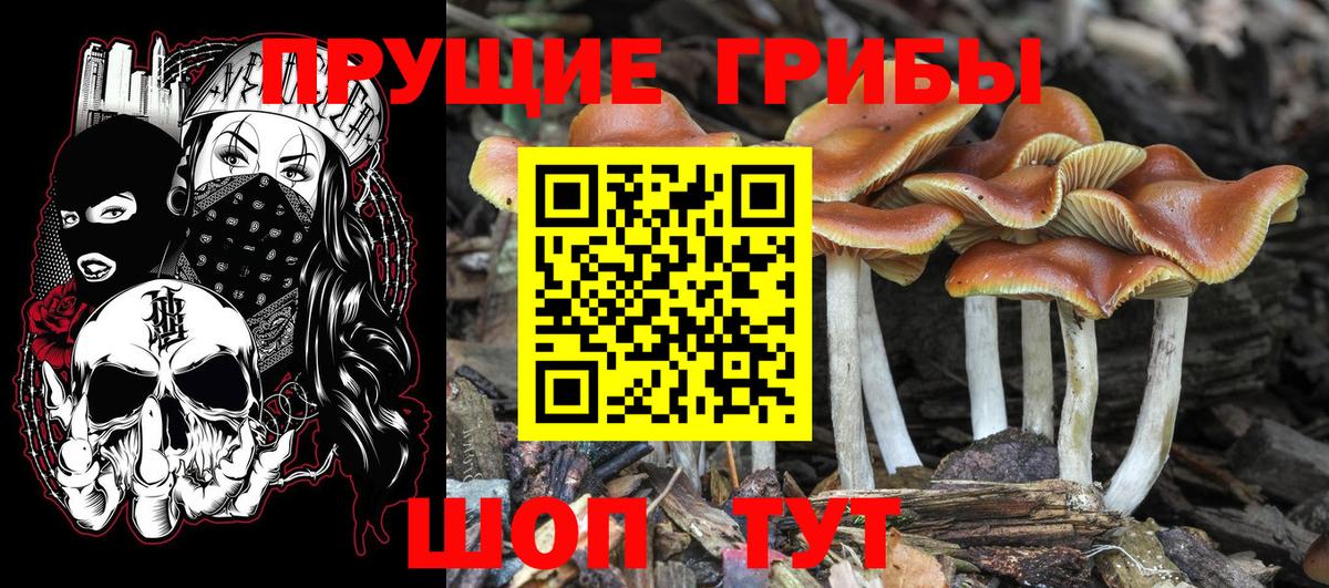 Гашиш  Каннабис  Тавда  Вход с VPN  Меф МЯУ МЯУ   Кокаин 