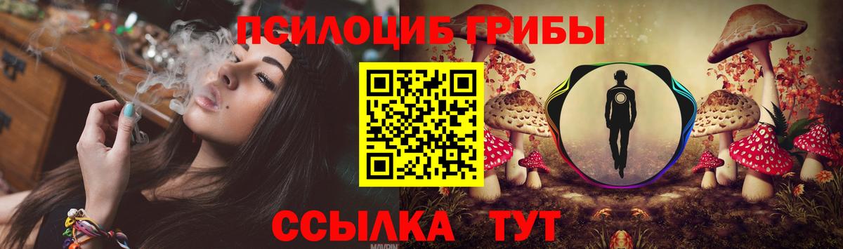 Галлюциногенные грибы прущие грибы Тавда