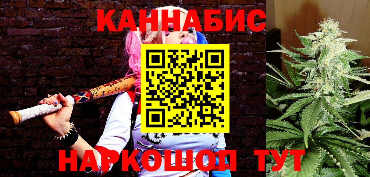 Марихуана сатива Тавда